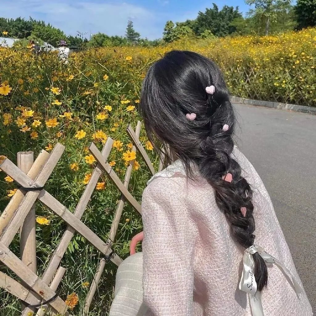 月季花开 海报